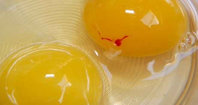 Zašto žumanjak ponekad ima krvavu tačku i da li je takvo jaje opasno jesti?!