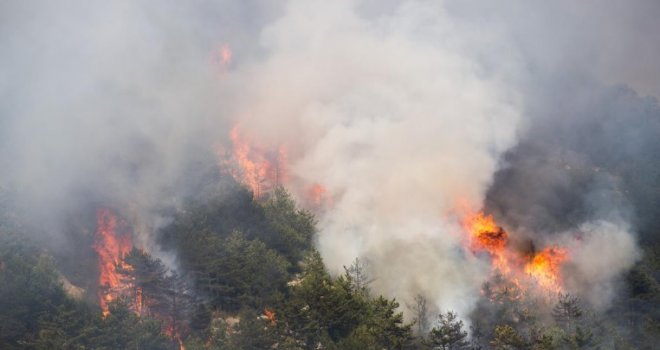 Izbio požar južno od Makarske, zatvorena Jadranska magistrala