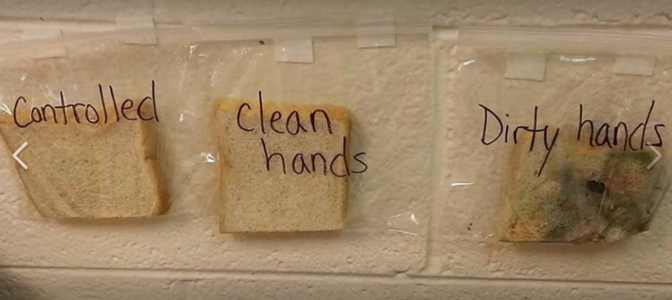 eksperiment-pranje-ruku