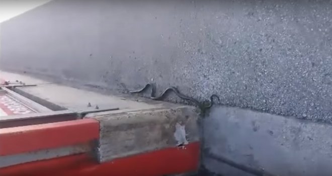 Najezda zmija u Sarajevu: Građani zaprepašteni, u Aleji Bosne Srebrene gmižu zmije od blizu dva metra!