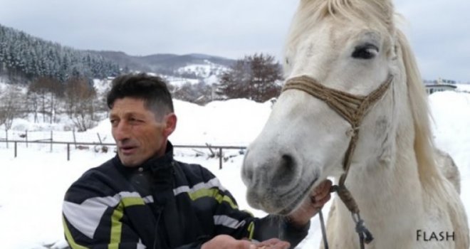 Konj Zekan iz Travnika najviše voli jesti ćevape