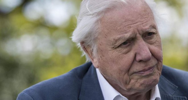 Sir David Attenborough poslao dramatično upozorenje: 'Počela je era ljudi...'