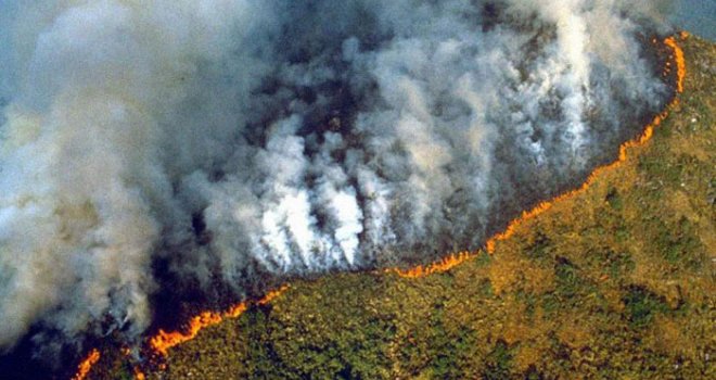 U sedam dana više od 9.500 požara u Amazonskoj prašumi - svake minute izgori površina 1,5 nogometnog igrališta