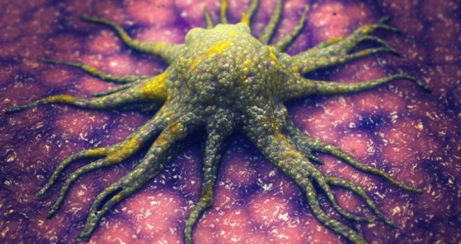 Nova šansa za oboljele: Veliko otkriće koje bi moglo liječiti gotovo sve vrste karcinoma