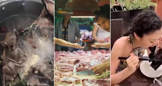 Komadaju životinje na licu mjesta: Šta su tačno kineske 'mokre tržnice' i zašto su izvor ubojitih virusa?