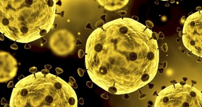Naučnici počeli testirati dvije potencijalne vakcine protiv koronavirusa