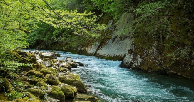 Najhladnija rijeka na svijetu nije blizu sjevernog ili južnog pola - nalazi se u Bosni i Hercegovini