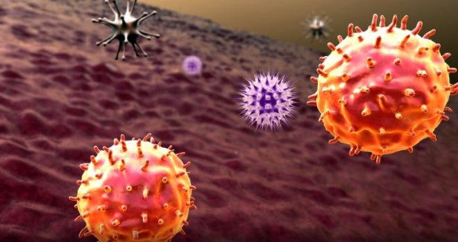 Napokon, imamo li ubicu koronavirusa?! Lijek američke kompanije pokazao 97% učinkovitost protiv Covida-19!