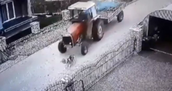 Monstruozno: Traktorom pregazio psa u mjestu Rašljeva kod Gračanice