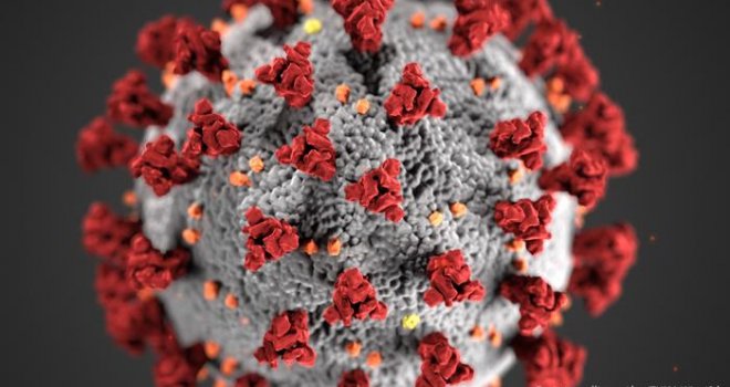 Otkriven posve novi soj koronavirusa, jednako podložan mutacijama: Naučnici strepe da antitijela neće raditi protiv njega...