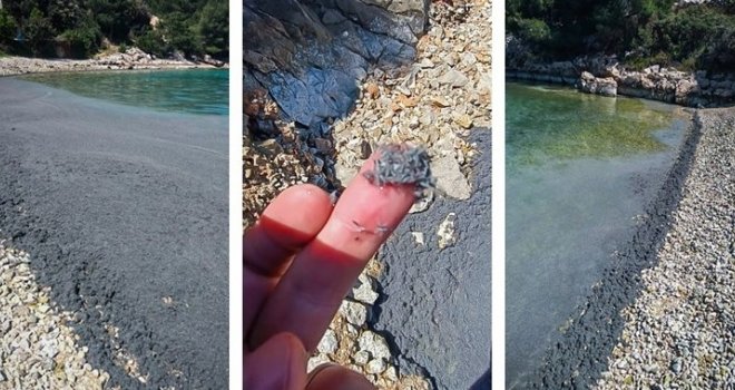 Najezda kukaca na hrvatskim plažama: More postalo sivo, nikada ih nije bilo ovoliko... Stručnjaci nagađaju o kojoj se vrsti radi
