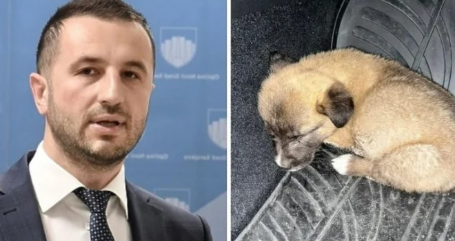 Semir Efendić pronašao psića na ulici, izazvao brdo komentara: 'Po islamu je zabranjeno držati psa u kući'