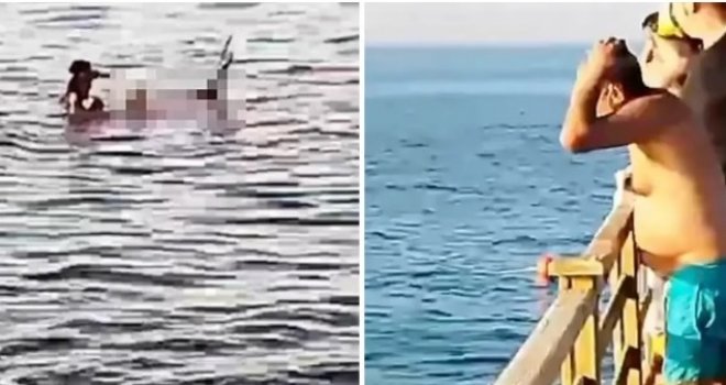 'Turisti prave fatalnu grešku': Iskusni ronilac otkriva šta se desilo u Hurgadi, prije nego što ajkula napala ženu...