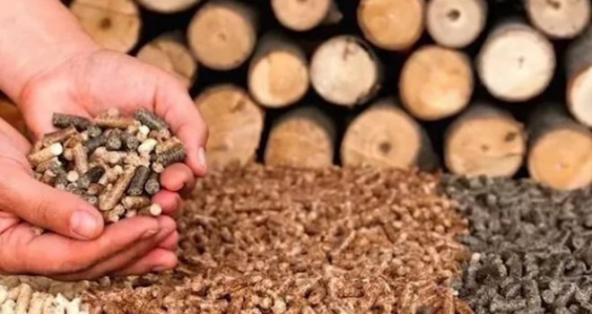 Inicijativa Vijeću ministara BiH: Zabranu izvoza drvnih sortimenata produžiti do kraja godine