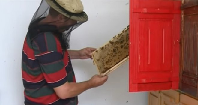 Sulejman Jakupović za dva kilograma pčelinjeg otrova zaradi 100.000 eura, uništava karcinom za 20 minuta 