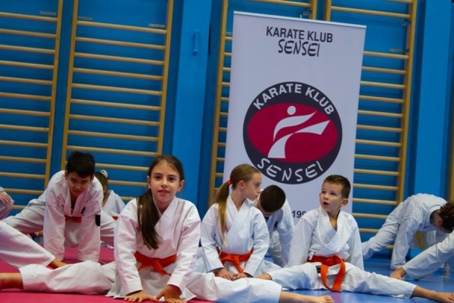 karate-sensei-3