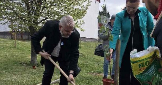 Eko-akcija za čistu i lijepu Vogošću: Hanadi Džabić s načelnikom zasadila stablo u dvorištu Srednjoškolskog centra