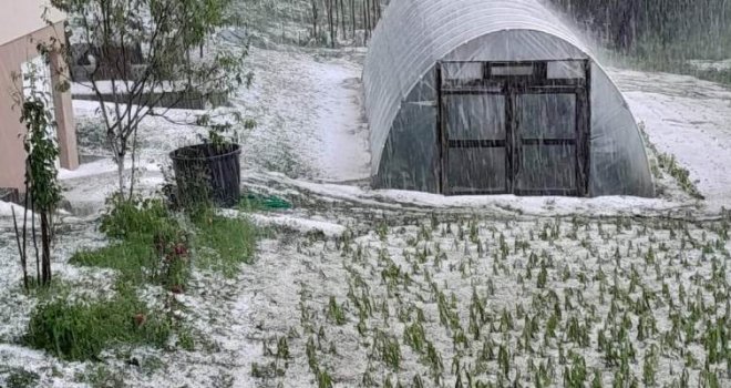 Užasno nevrijeme u srcu BiH: Grad je iznenada počeo padati, mnogi usjevi skršeni...