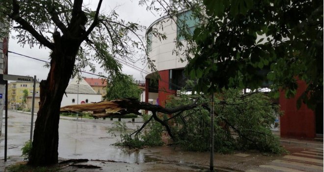 Jako nevrijeme pogodilo Tuzlu: Dio stabla pao na saobraćajnicu