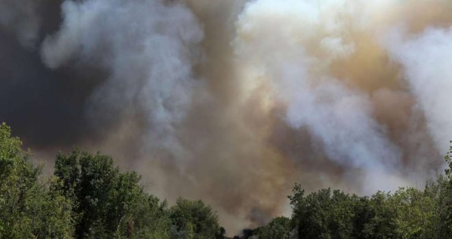 Izbio veliki požar u blizini Rovinja, gase ga dva kanadera i 40 vatrogasaca sa 12 vozila