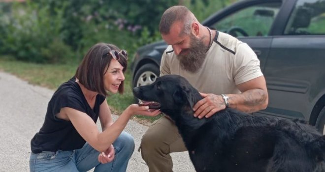 Brutalno pretučeni pas iz Livna pronašao topli dom samo dan prije eutanazije