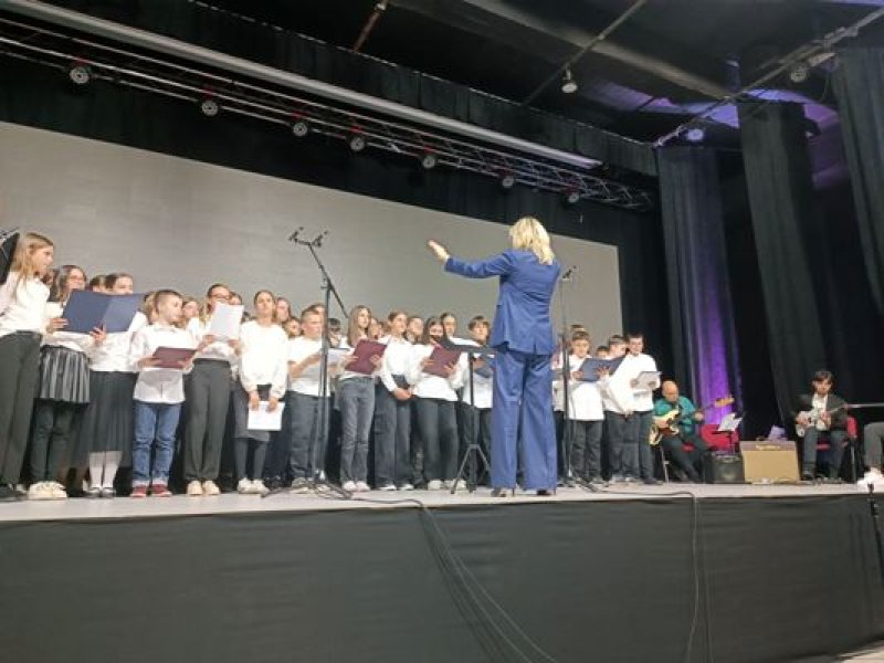 20-godina-muzicke-baletne-skole-novo-sarajevo-4