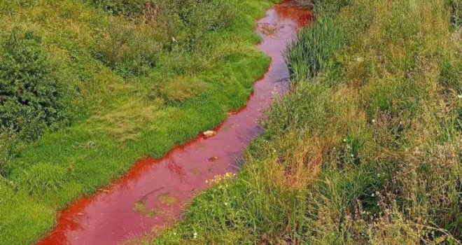 Crveni mulj iz fabrike Nova Alumina zagadio rijeku Sapnu i uzrokovao uginuće ribe