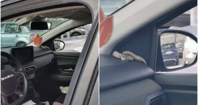 Pogledajte gdje ih je dočekao poskok: 'Očekujte ih još, zatvarajte vrata!'